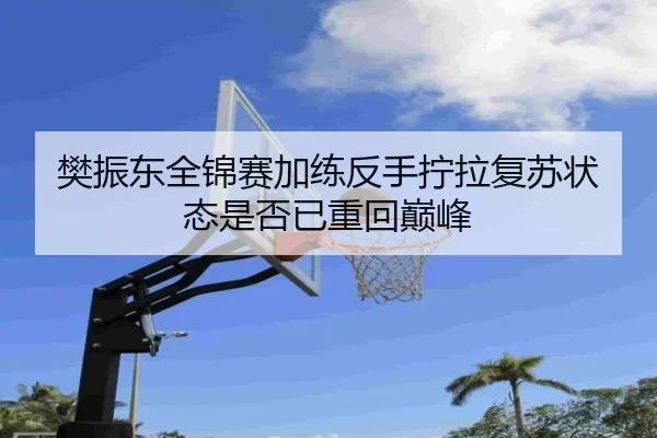 樊振东全锦赛加练反手拧拉复苏状态是否已重回巅峰